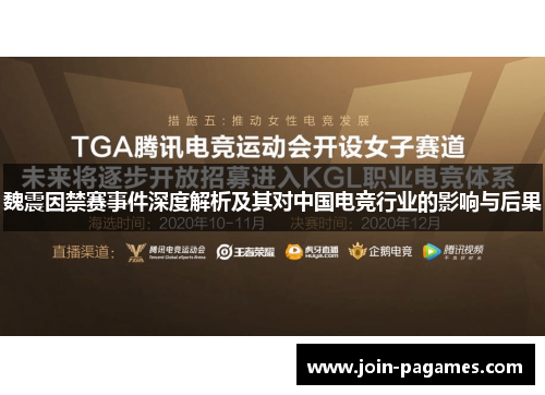 魏震因禁赛事件深度解析及其对中国电竞行业的影响与后果